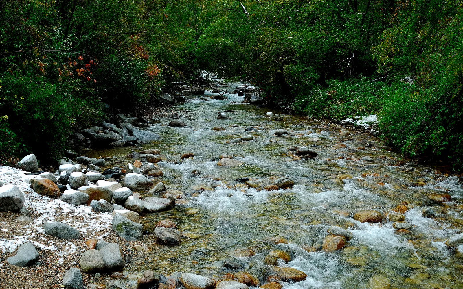 A clear mountain stream flows over rocks, with snow patches on the banks and dense green foliage.