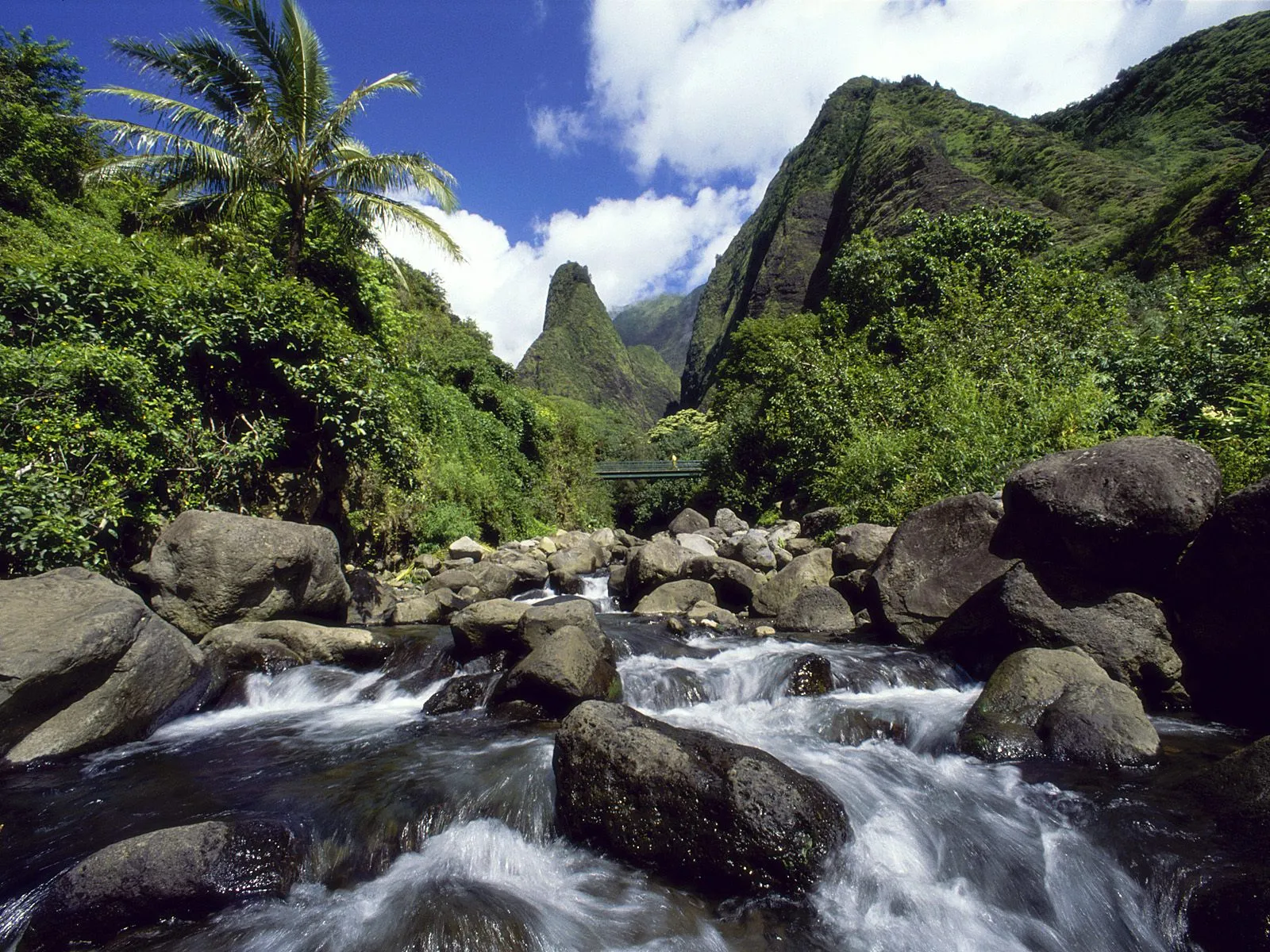A fast-flowing river with rocks in the foreground, surrounded by lush green mountains and a palm tree.