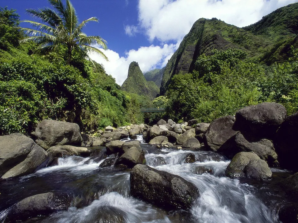 A fast-flowing river with rocks in the foreground, surrounded by lush green mountains and a palm tree.