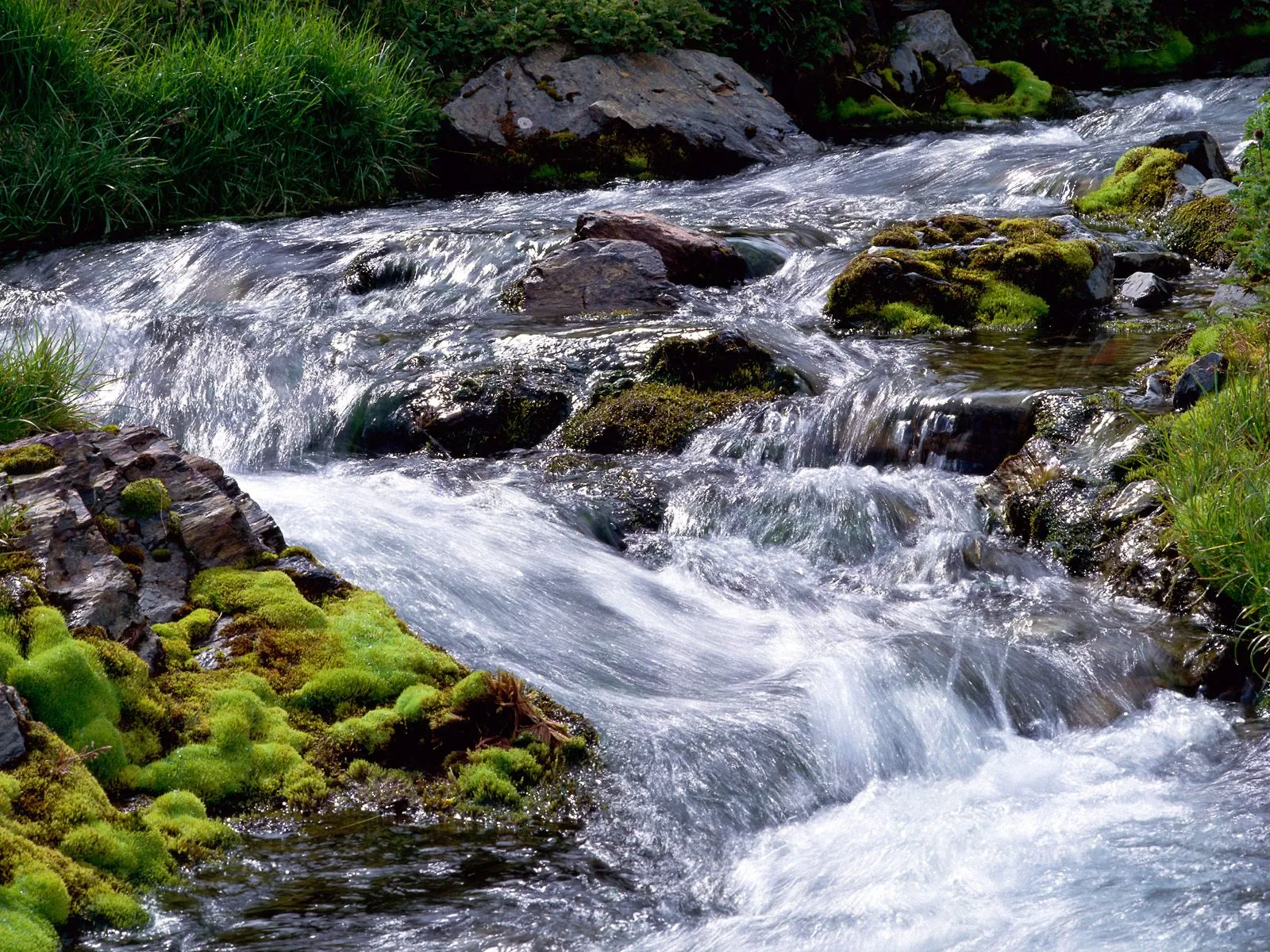 A fast-flowing mountain stream cascades over rocks covered in vibrant green moss.