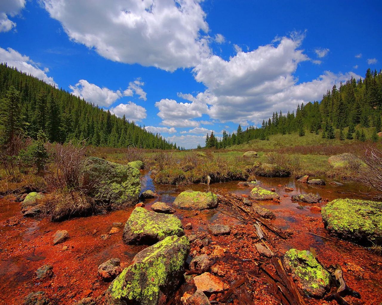 A shallow stream flows through a rocky area with red-colored stones and moss-covered boulders, leading towards a pine-covered mountainside under a blue sky with white clouds.