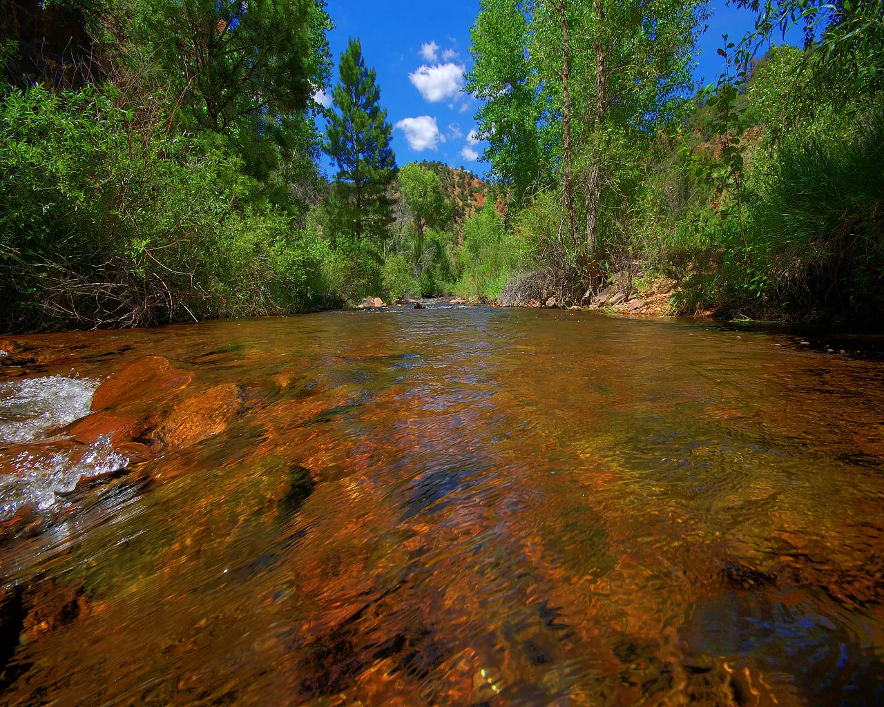 A clear mountain stream flows over reddish-brown rocks, with lush green trees and a blue sky with white clouds in the background.