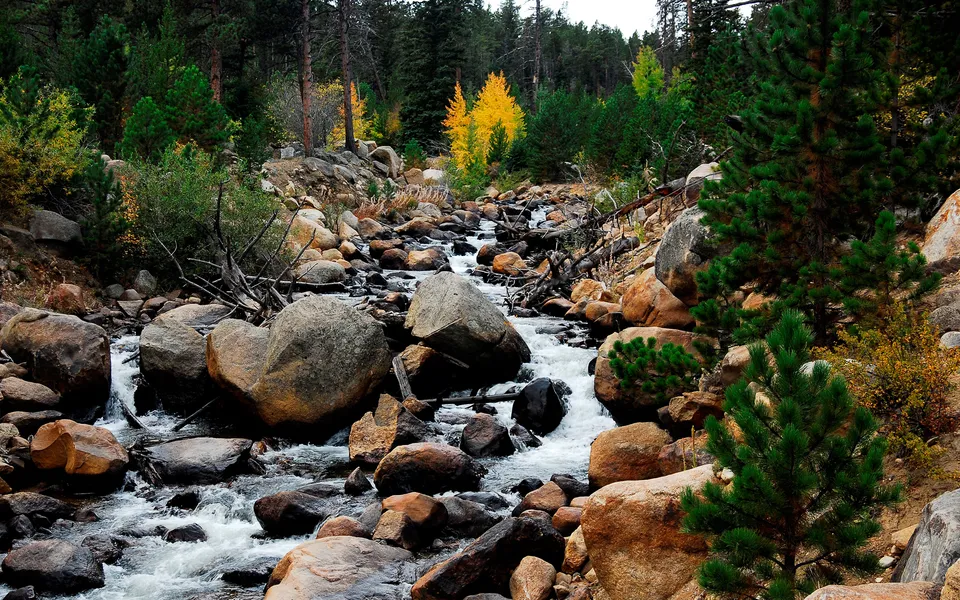 A fast-flowing stream cascades over large rocks in a forest with autumn foliage.
