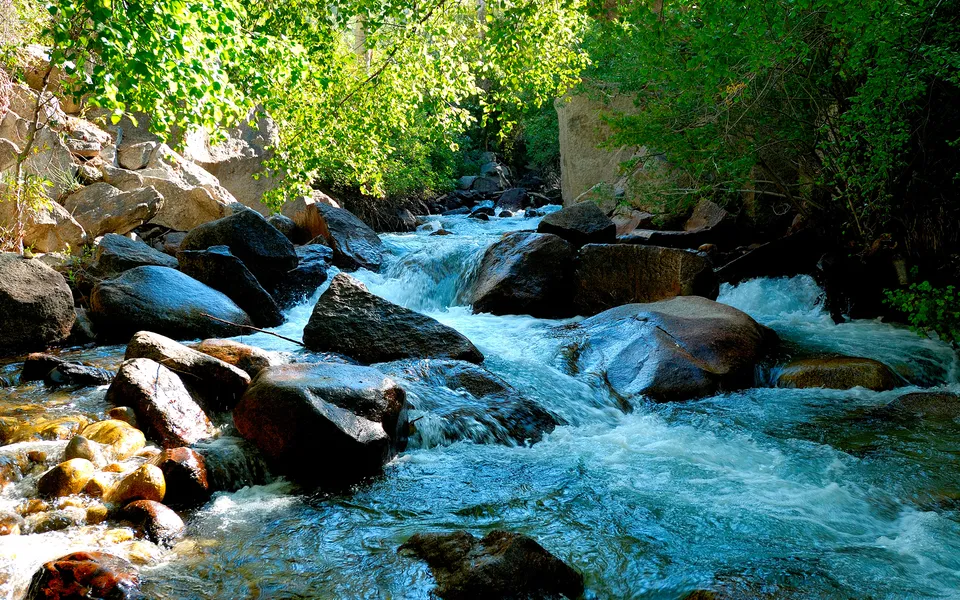 A clear mountain stream flows rapidly over smooth, dark rocks, surrounded by lush green foliage.