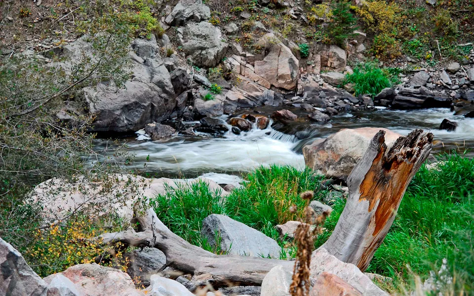A fast-flowing mountain stream cascades over rocks, with lush green grass and a fallen log in the foreground.