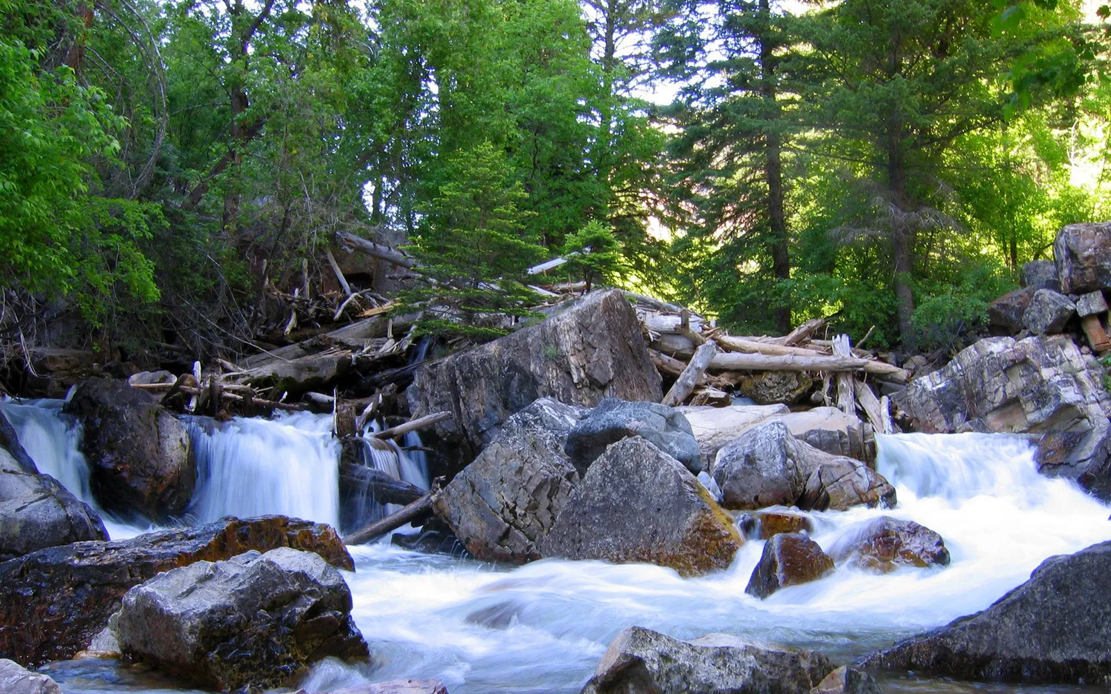A fast-flowing stream cascades over large rocks and fallen logs in a lush green forest.