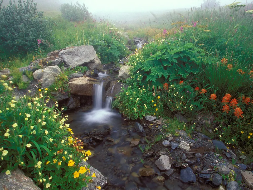 A small waterfall cascades down a rocky stream surrounded by lush green foliage and colorful wildflowers.
