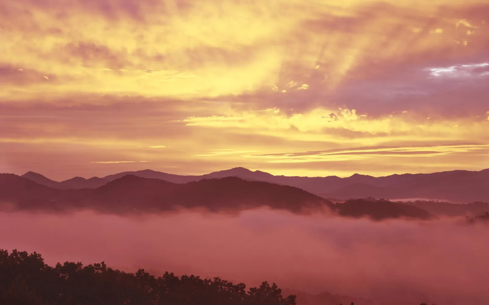 A vibrant sunrise casts golden rays over misty mountains and silhouetted trees.