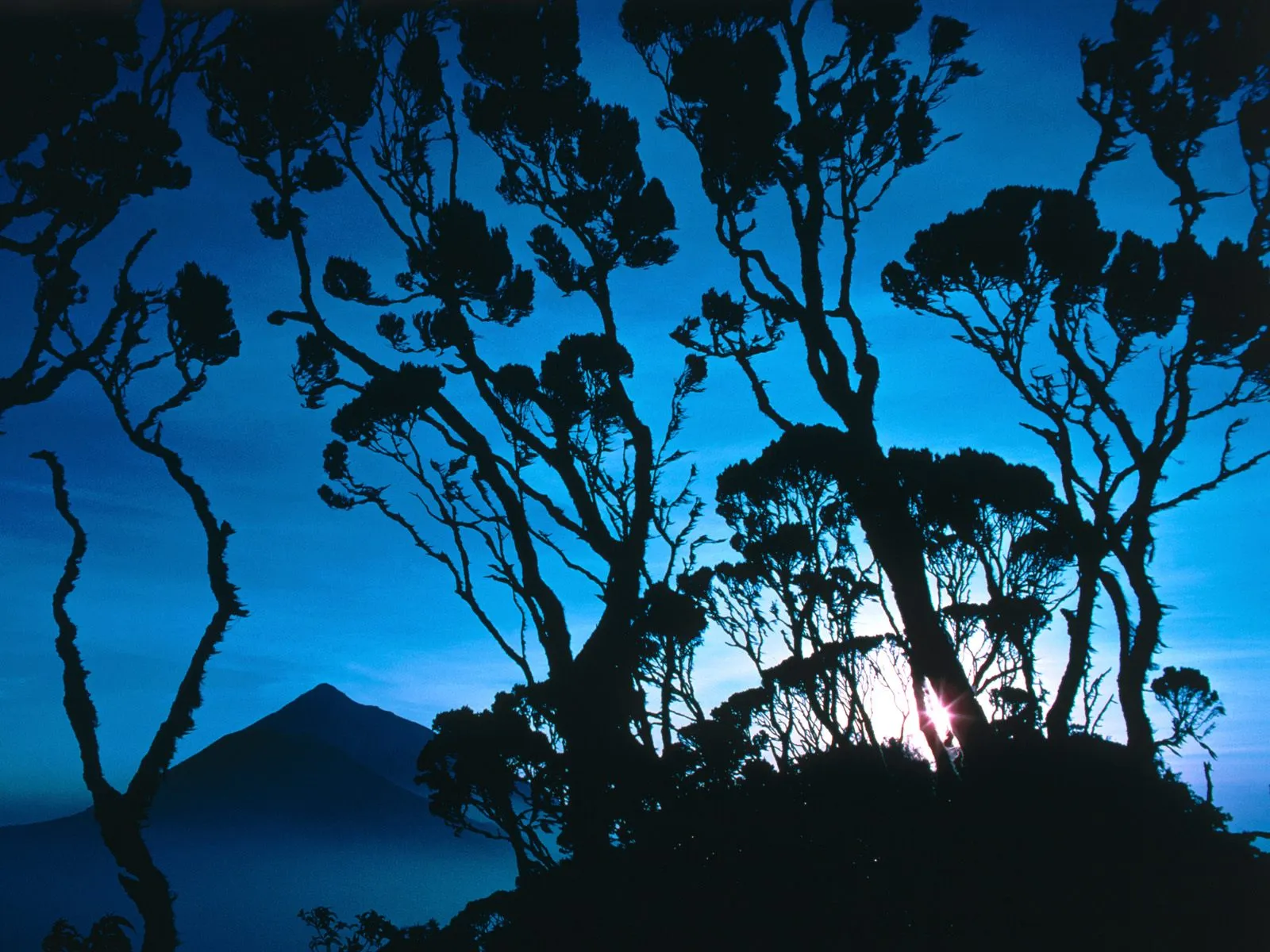 Silhouetted trees frame a mountain peak against a bright blue sky with the sun just rising.