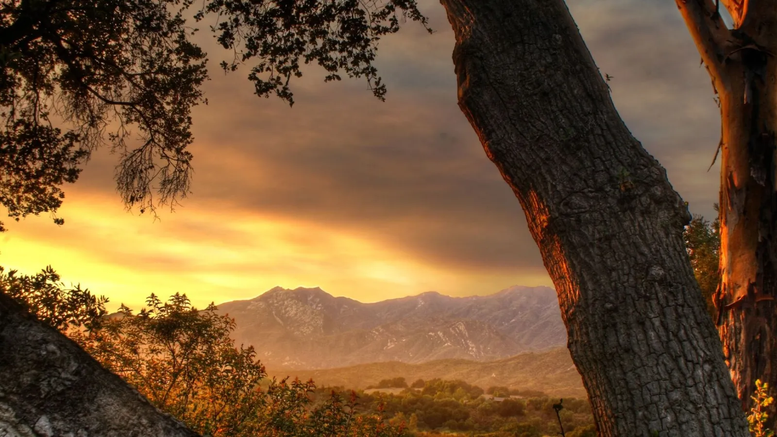 A mountain range is visible in the distance, bathed in the warm glow of a sunset, framed by silhouetted trees.