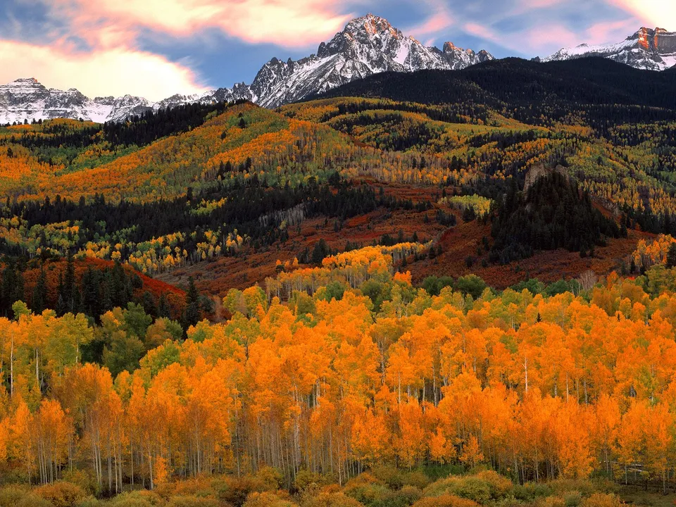 A mountain valley is filled with fiery autumn foliage under a sky with soft, colorful clouds.