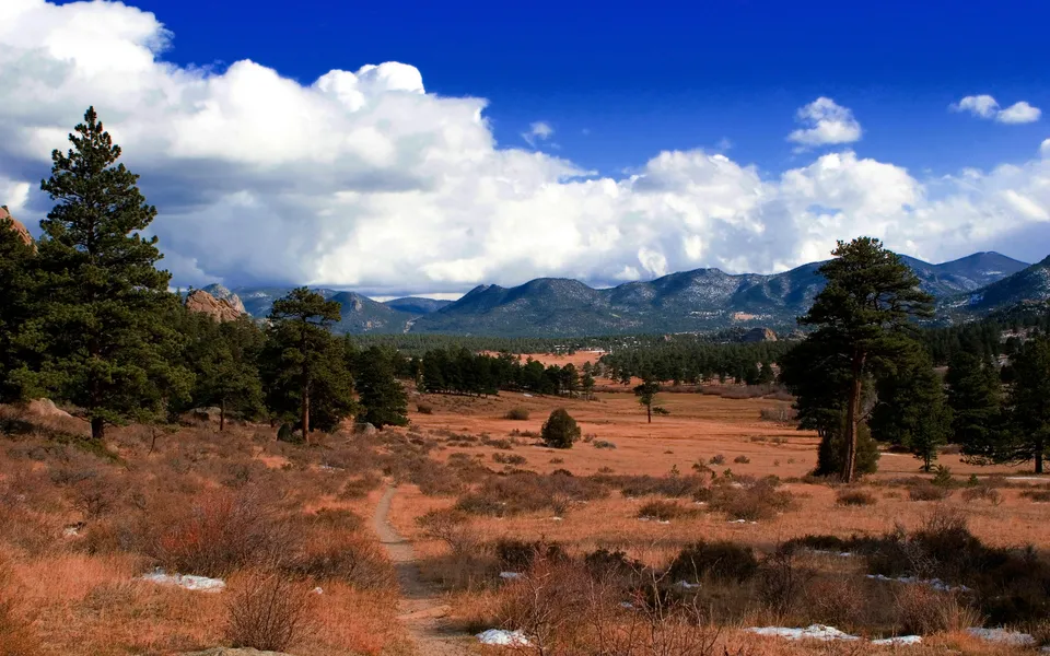 A wide valley with dry grass and scattered trees leads to distant snow-capped mountains under a bright blue sky with white clouds.