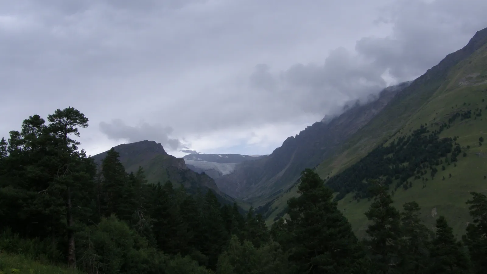 A wide mountain valley with dark green trees in the foreground and a glacier visible in the distance under a cloudy sky.
