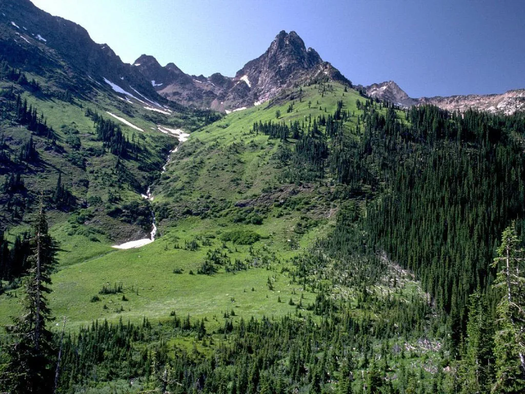 A vast mountain valley with green, tree-covered slopes and a clear blue sky.