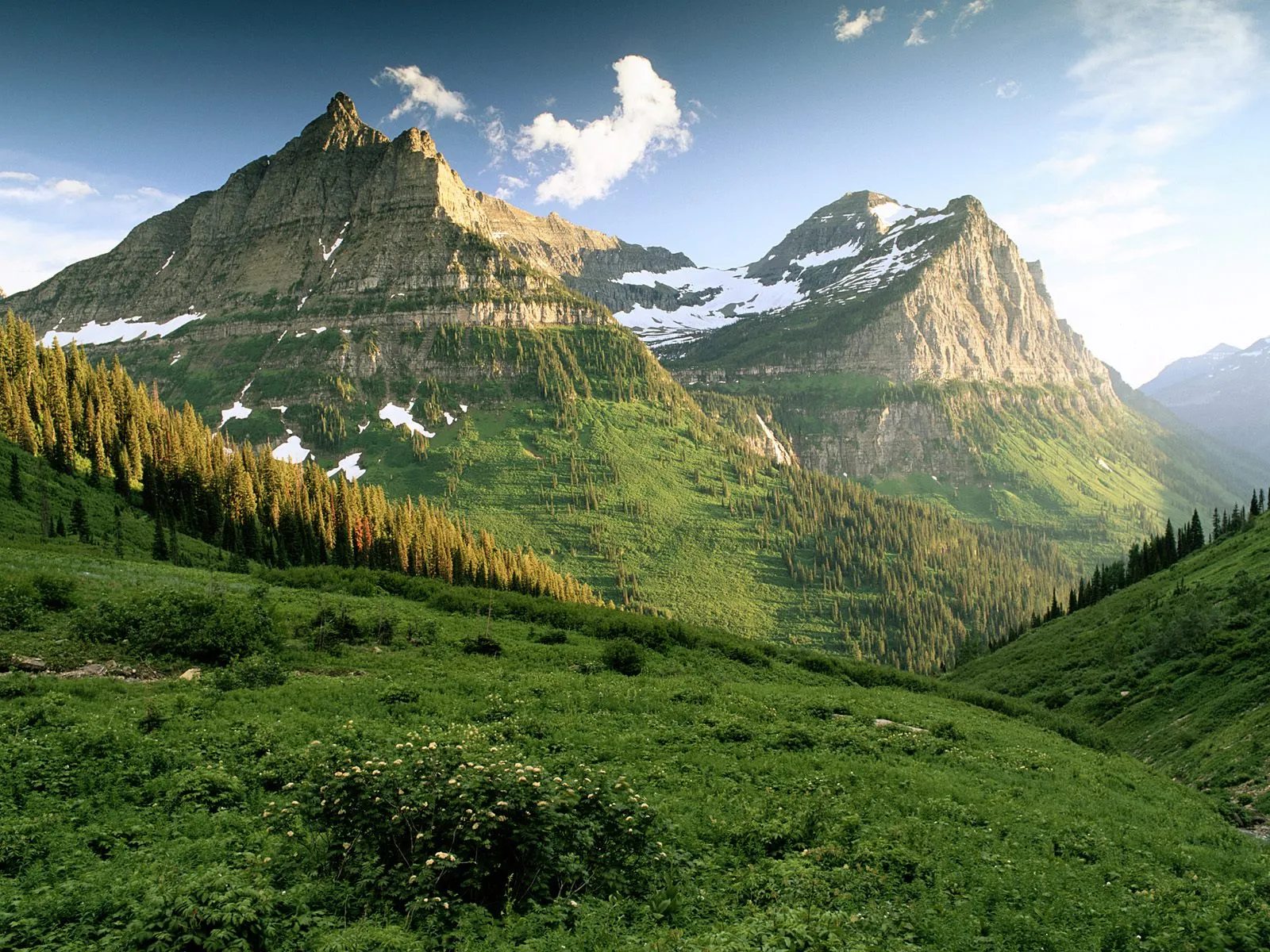 A vast mountain valley with green slopes, pine trees, and snow-capped peaks under a blue sky with clouds.