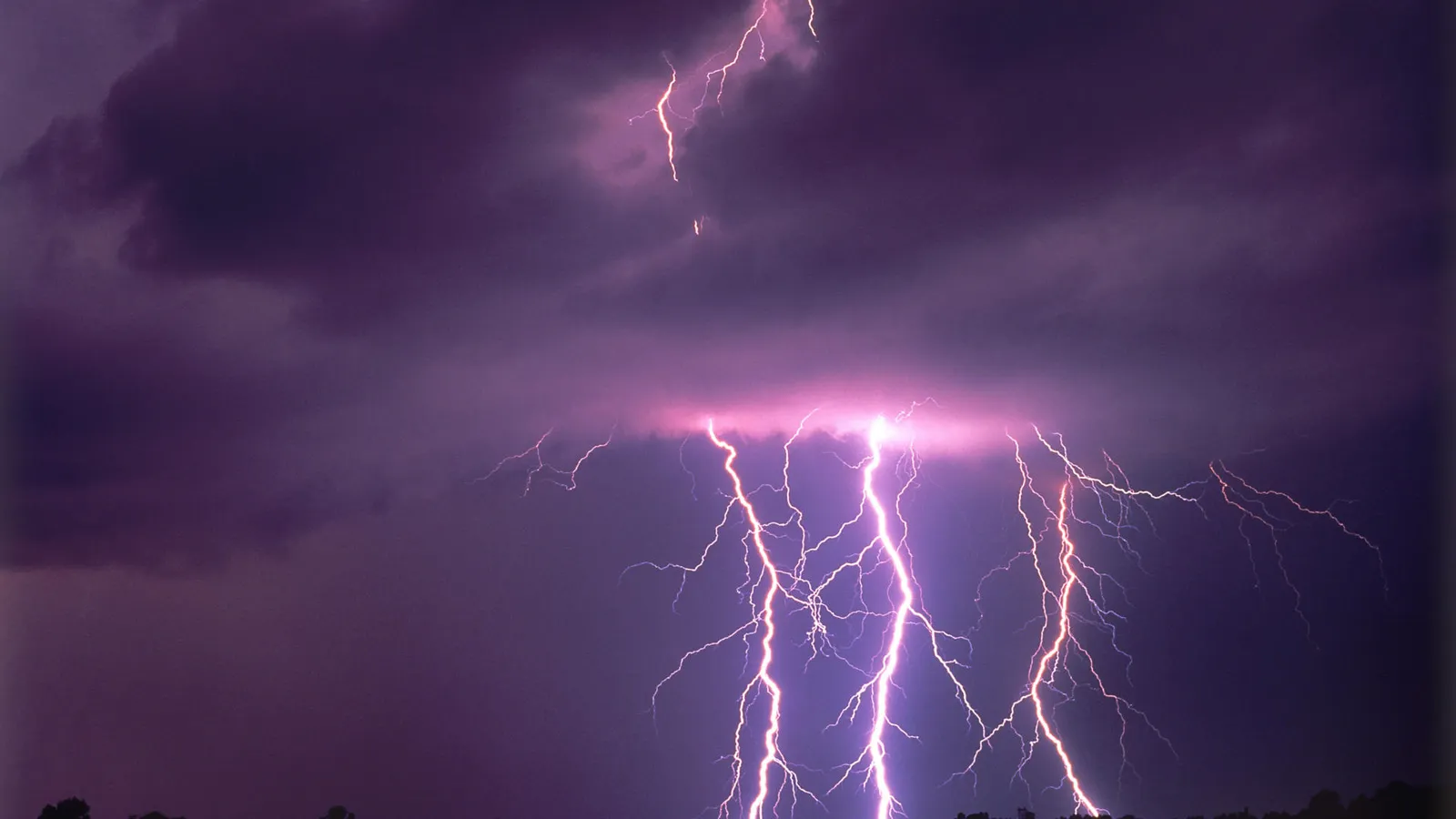 Multiple jagged lightning bolts illuminate a dark, purple stormy sky with pink and white light.