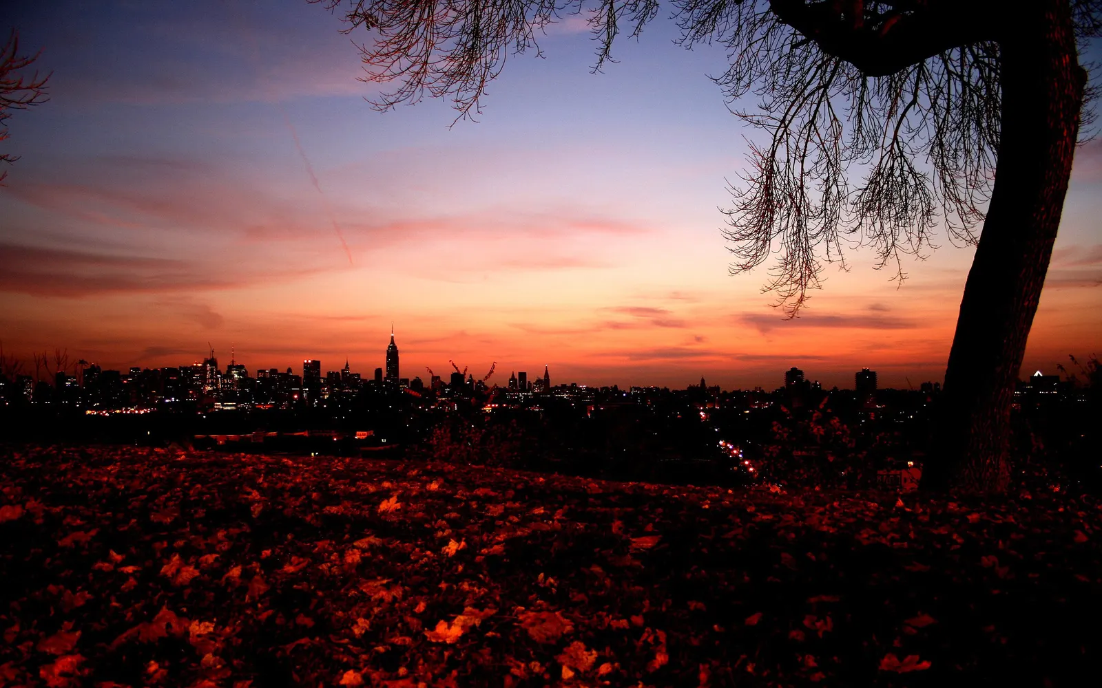 A silhouetted cityscape of New York City at dusk, with a foreground of fallen autumn leaves and a bare tree branch.