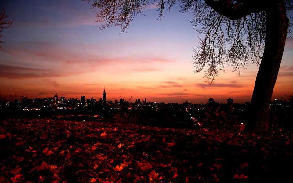 A silhouetted cityscape of New York City at dusk, with a foreground of fallen autumn leaves and a bare tree branch.