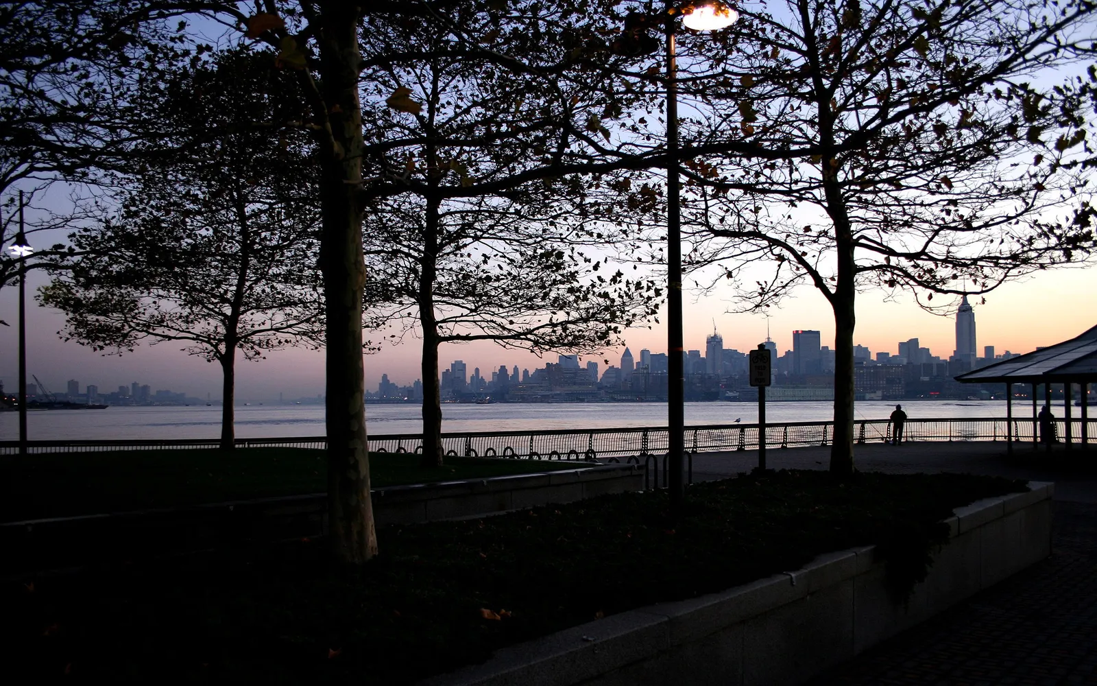 New York City skyline seen through silhouetted trees at dusk.