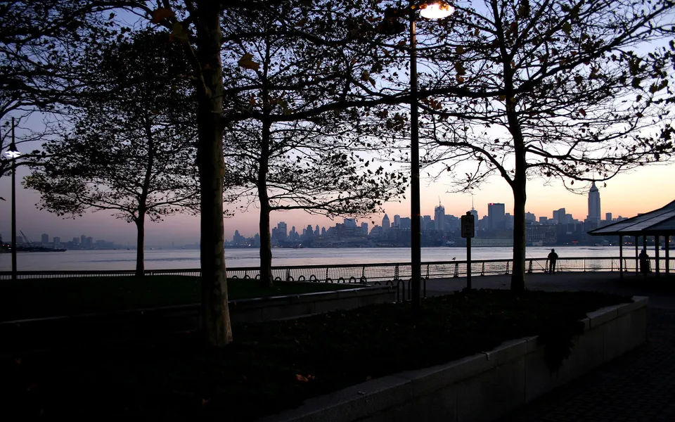 New York City skyline seen through silhouetted trees at dusk.