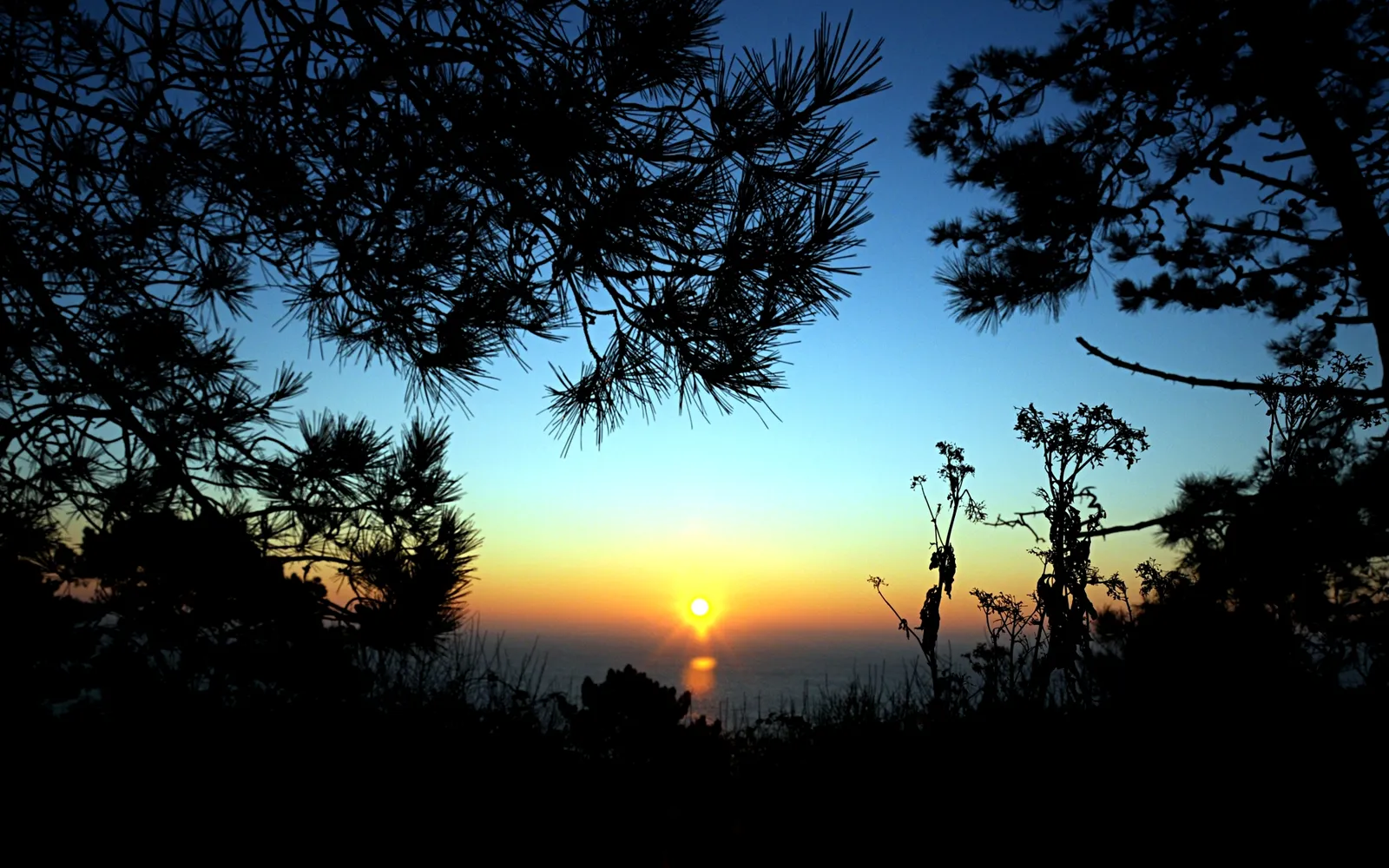 A vibrant sunset over the ocean, framed by silhouetted trees and plants.