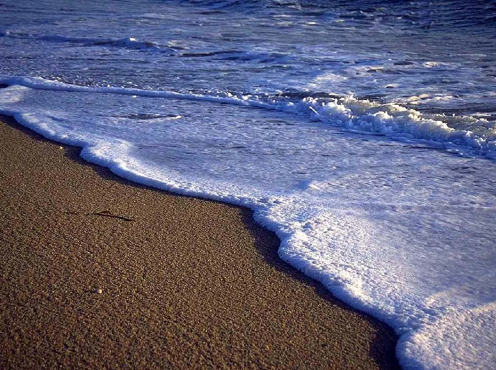 A foamy ocean wave gently laps onto a sandy beach, with the water receding.