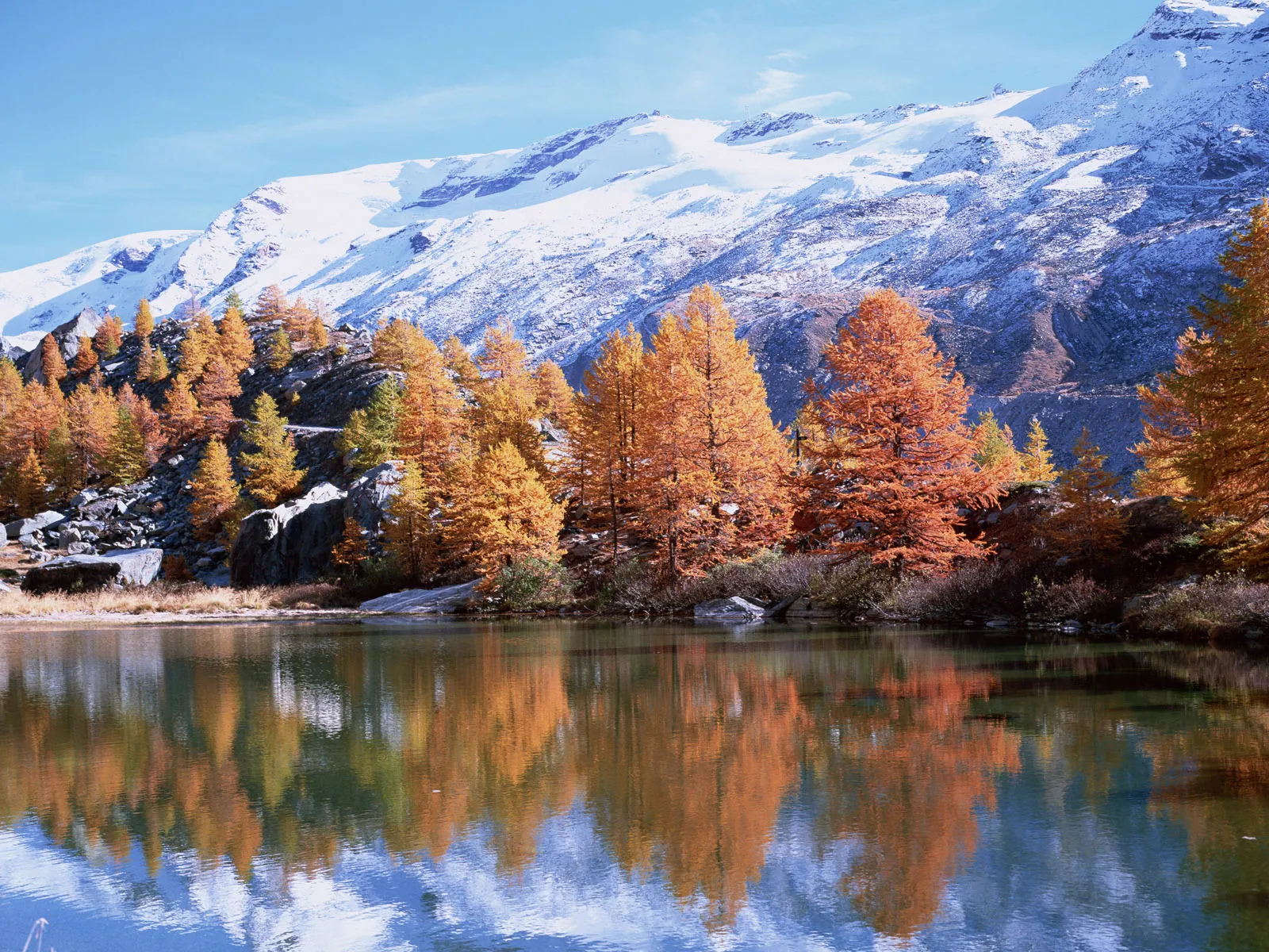 Orange autumn trees and snow-dusted mountains are reflected in a tranquil lake.
