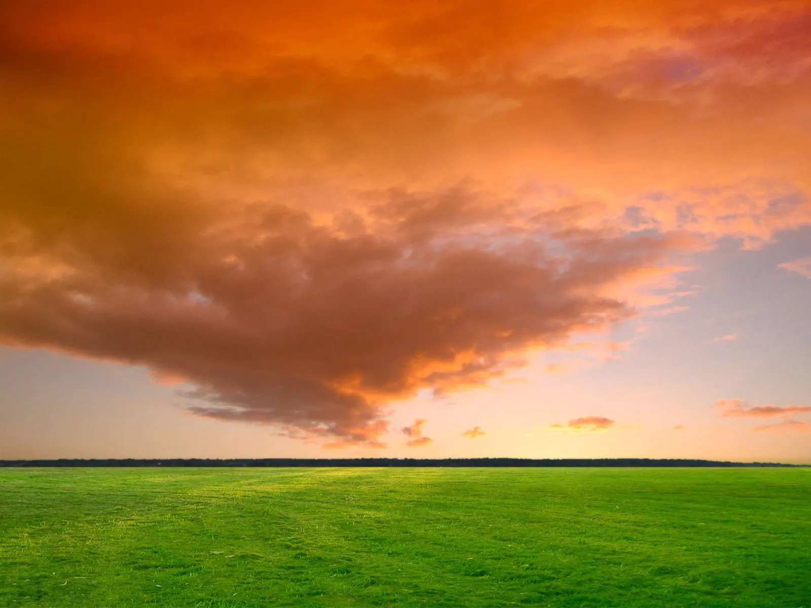 A wide expanse of bright green grass stretches to the horizon under dramatic orange and pink clouds.