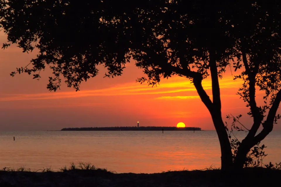 A silhouetted tree frames a vibrant orange sunset over the ocean with a distant island and lighthouse.