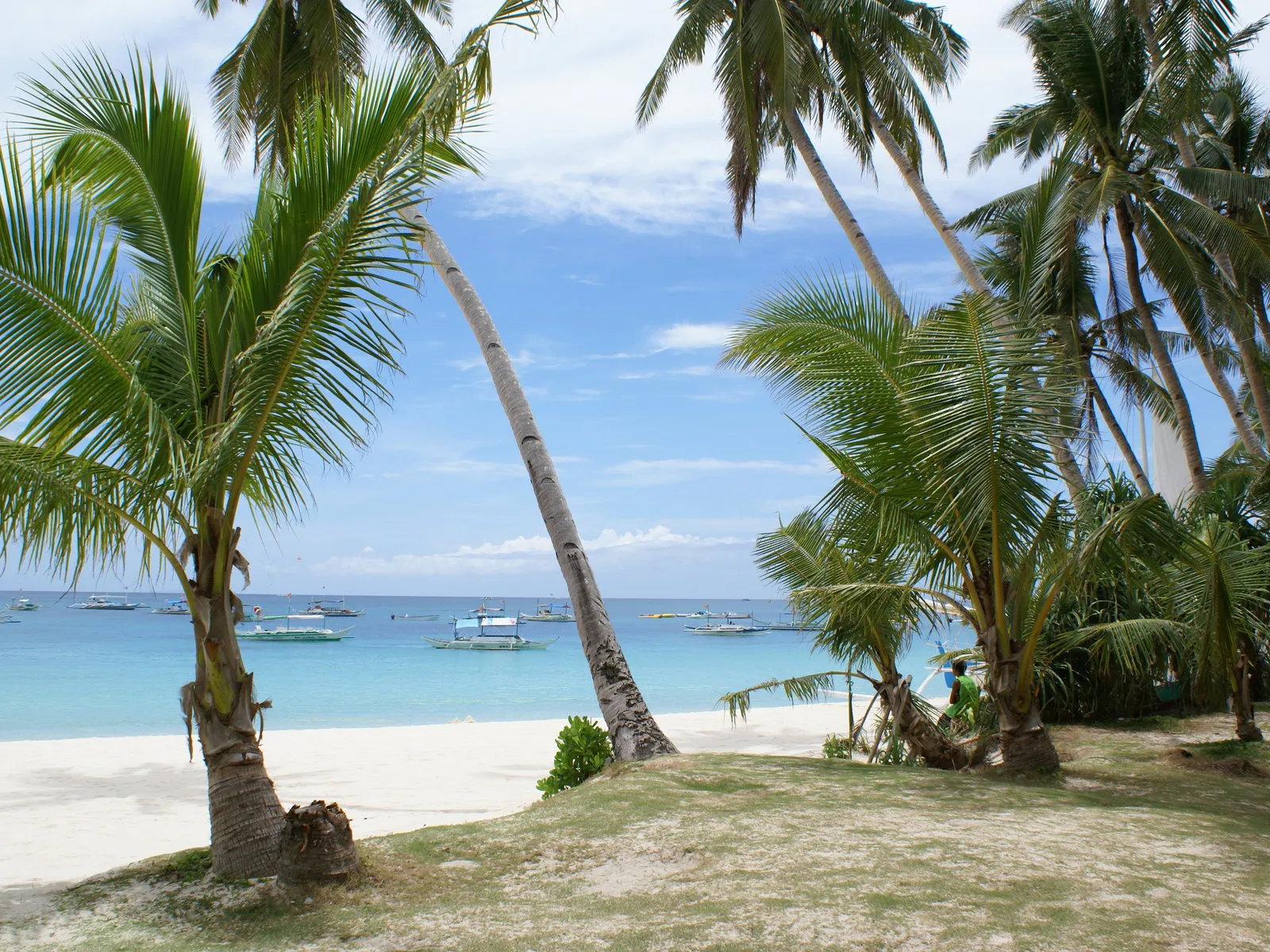 Several outrigger boats are visible on calm, clear turquoise ocean waters next to a white sand beach lined with palm trees.