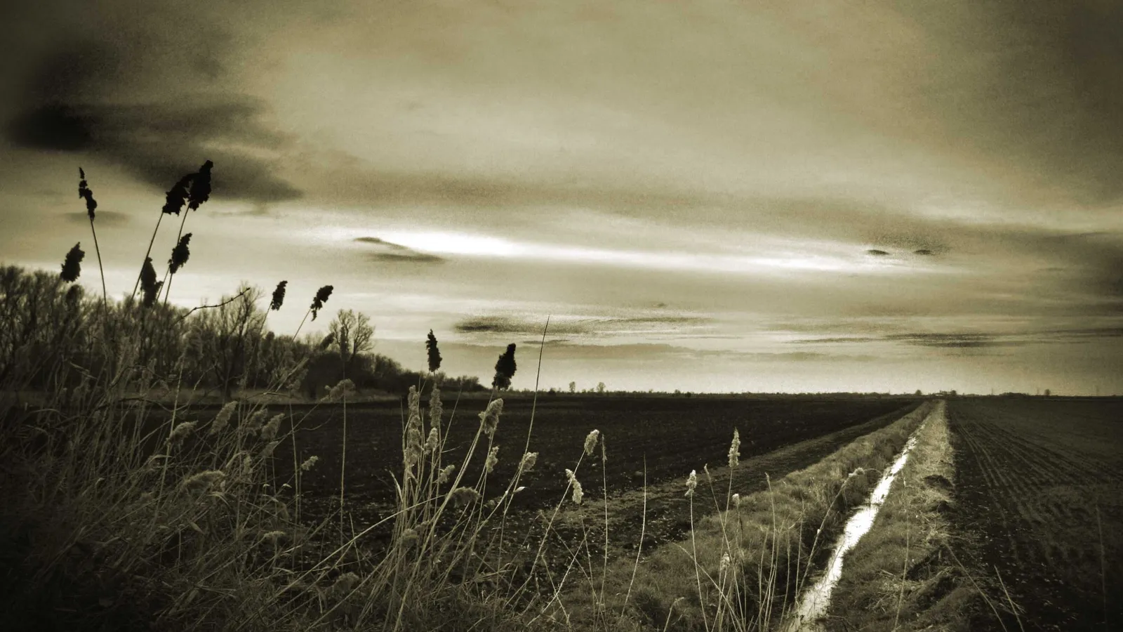 A sepia-toned image of a vast, dark agricultural field with a narrow, water-filled ditch running alongside it under a cloudy sky.