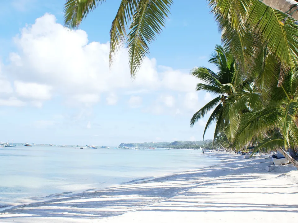 Palm fronds frame a view of a white sand beach with many boats on the calm ocean.