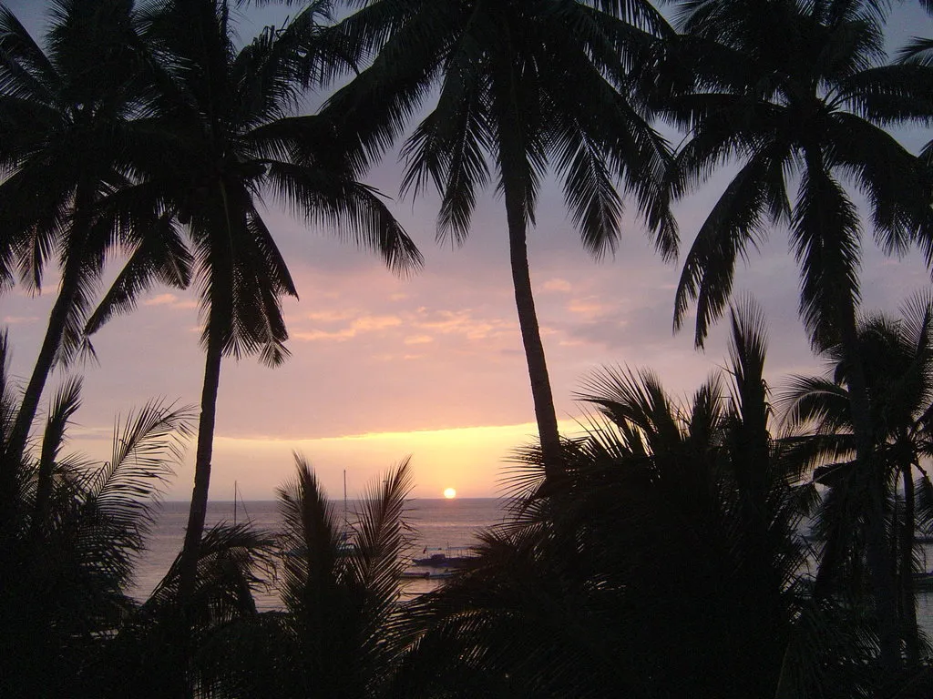 Palm fronds frame a soft twilight sunset with a small sun dipping below the horizon over the ocean.