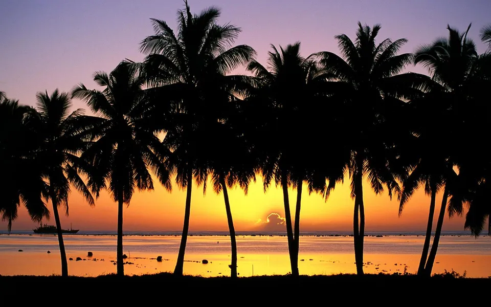 A dense line of palm trees are silhouetted against a vibrant orange and purple sunset over the ocean.