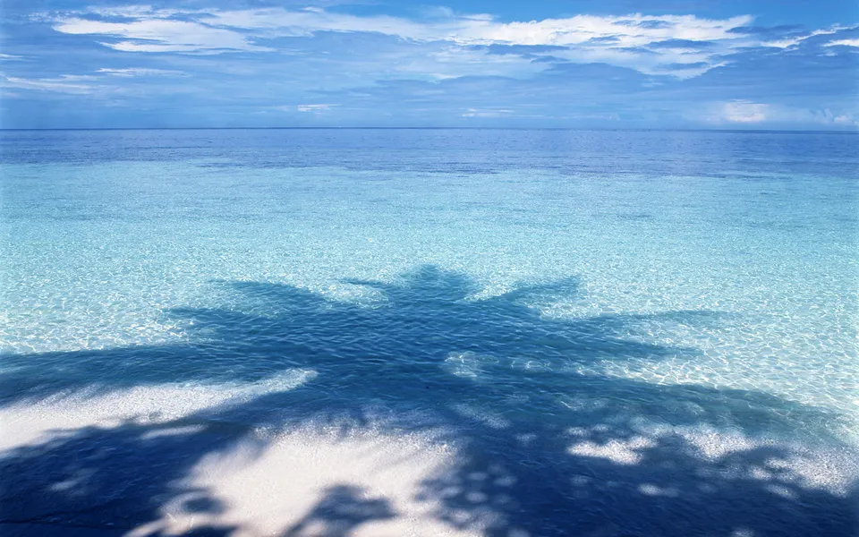 Shadow of a palm tree falls across the white sand and into the clear turquoise ocean water.