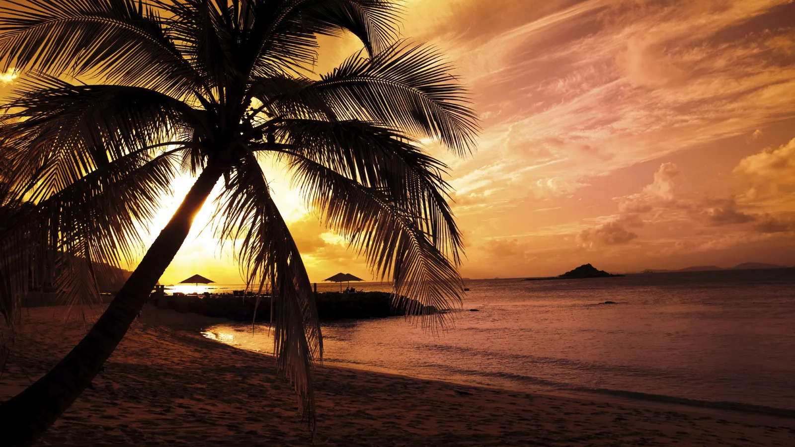 A silhouetted palm tree frames a vibrant sunset over the ocean, with a small island in the distance.