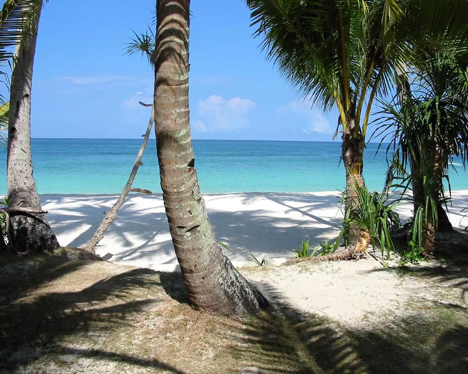 Palm trees cast shadows on a white sand beach leading to turquoise ocean waters.