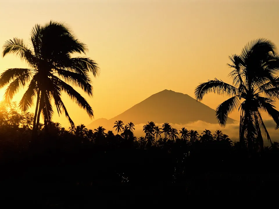 Silhouetted palm trees and a mountain against a fiery sunset sky.