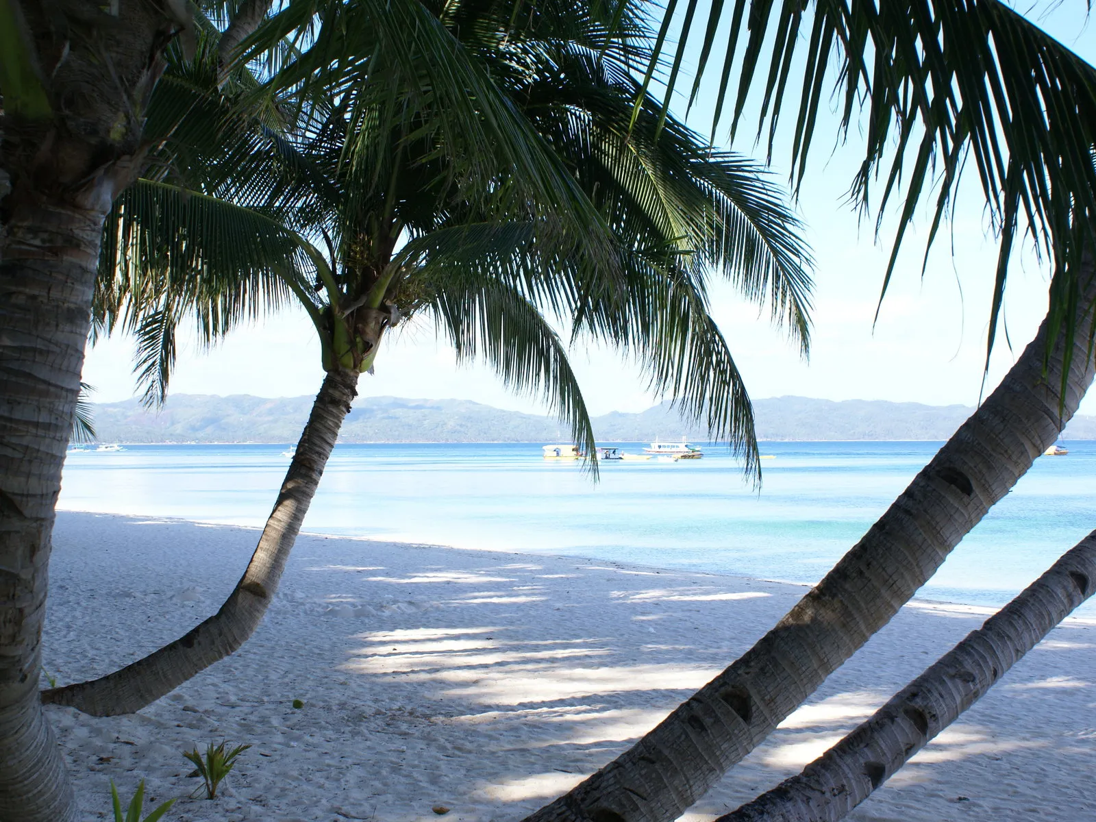 Palm trees frame a white sand beach leading to calm turquoise waters with distant islands and boats.