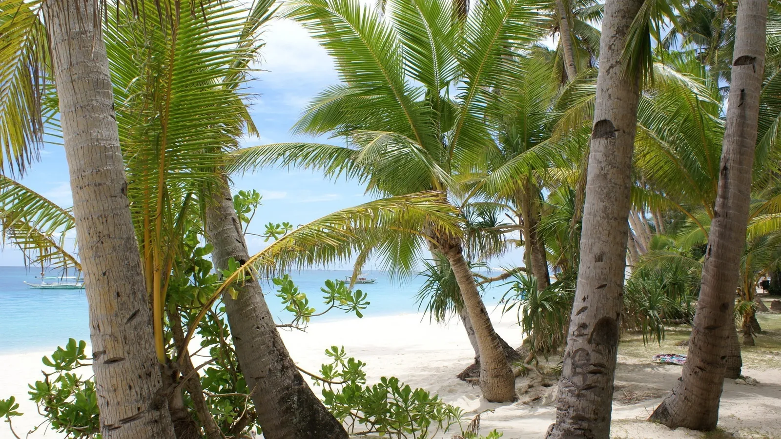 Palm trees frame a view of the ocean with a distant boat.