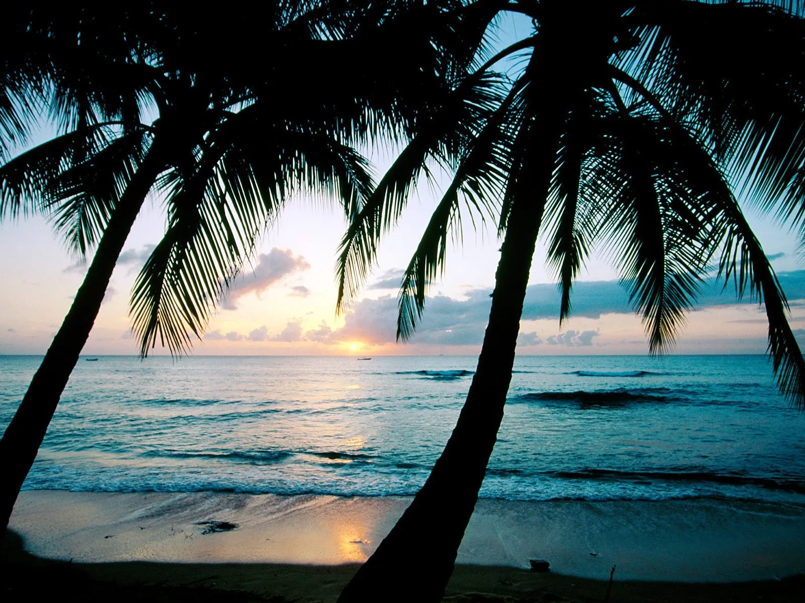 Silhouetted palm trees frame a tropical beach with the sun setting over the ocean.