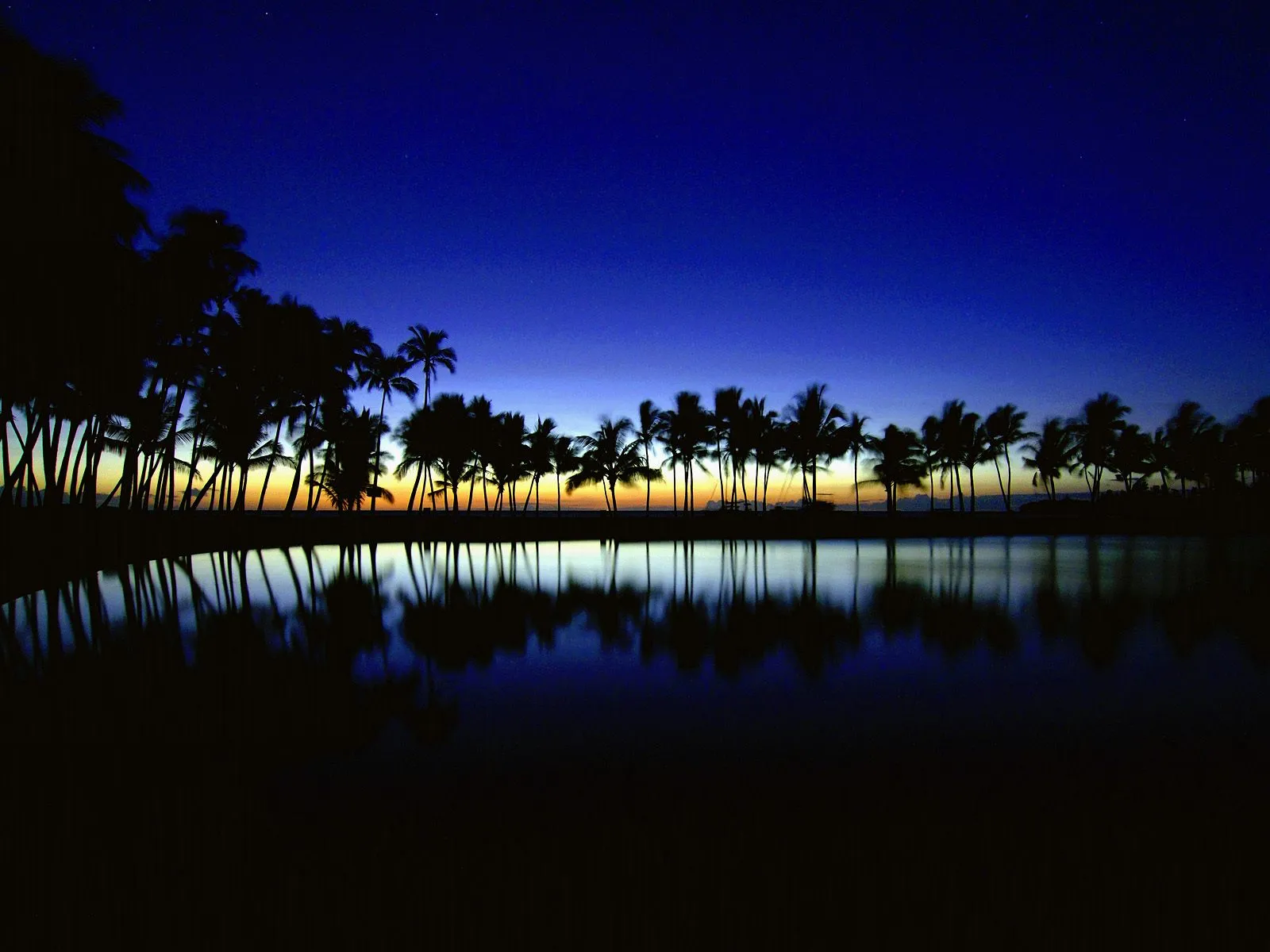 Silhouetted palm trees line a body of water at dusk, with their reflections visible.