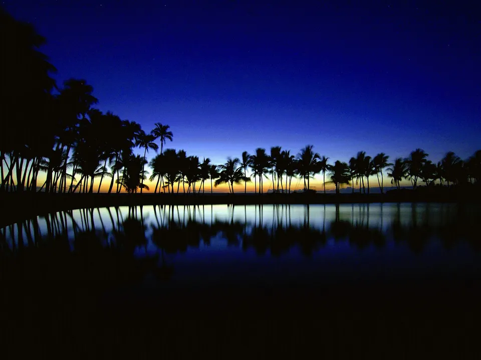 Silhouetted palm trees line a body of water at dusk, with their reflections visible.