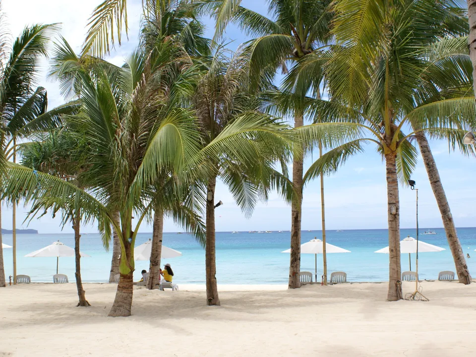 Palm trees and white beach umbrellas stand on a white sand beach.