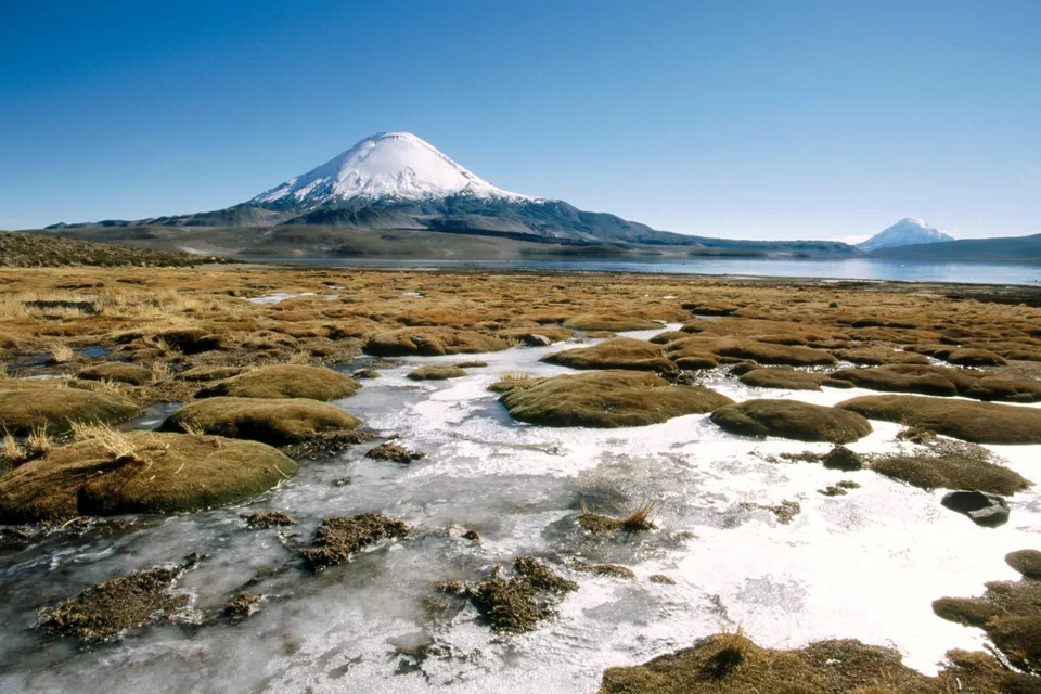 A snow-capped volcano dominates the horizon above a vast, frozen wetland with brown grasses and ice.