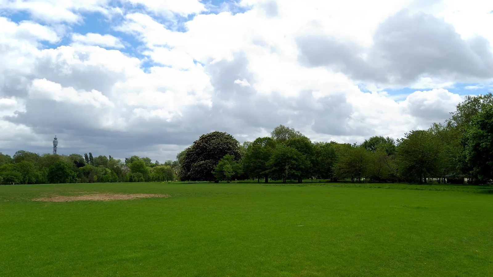 A wide, lush green lawn stretches towards a line of diverse trees under a sky filled with dramatic white clouds.