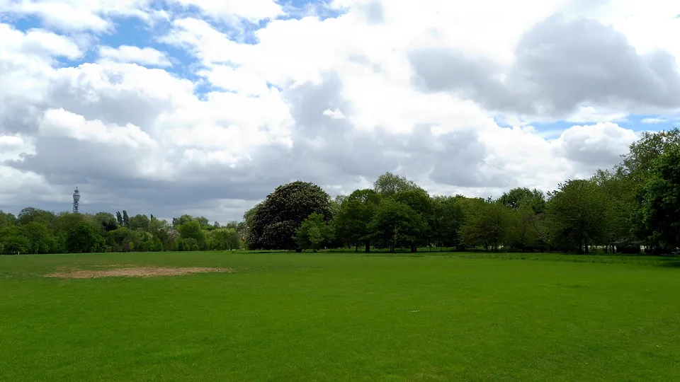 A wide, lush green lawn stretches towards a line of diverse trees under a sky filled with dramatic white clouds.