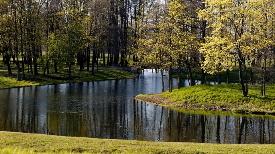 A calm lake reflects trees and green grass in a park setting.