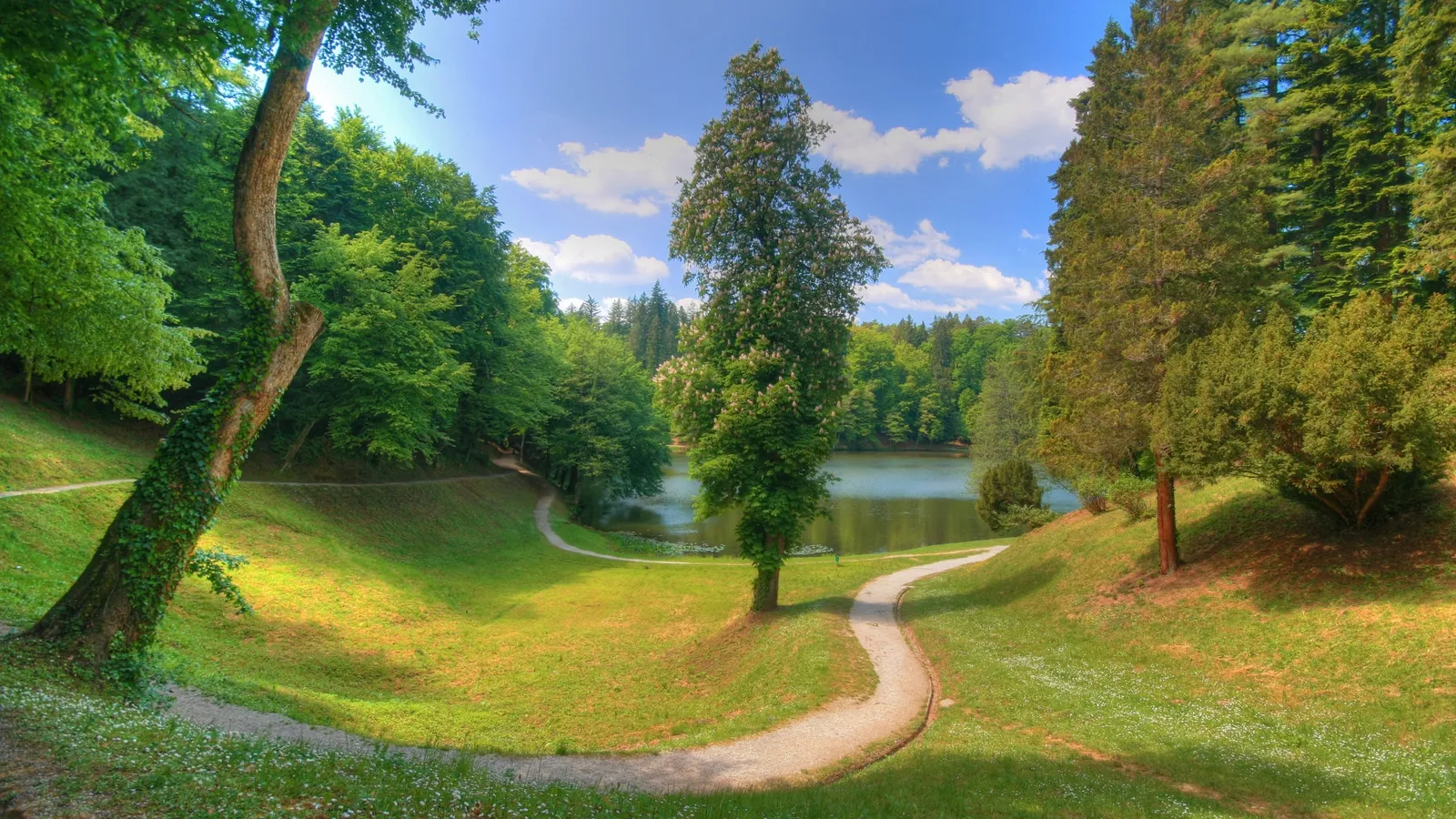 A winding gravel path curves through a vibrant green park with a lake in the background and trees on either side.