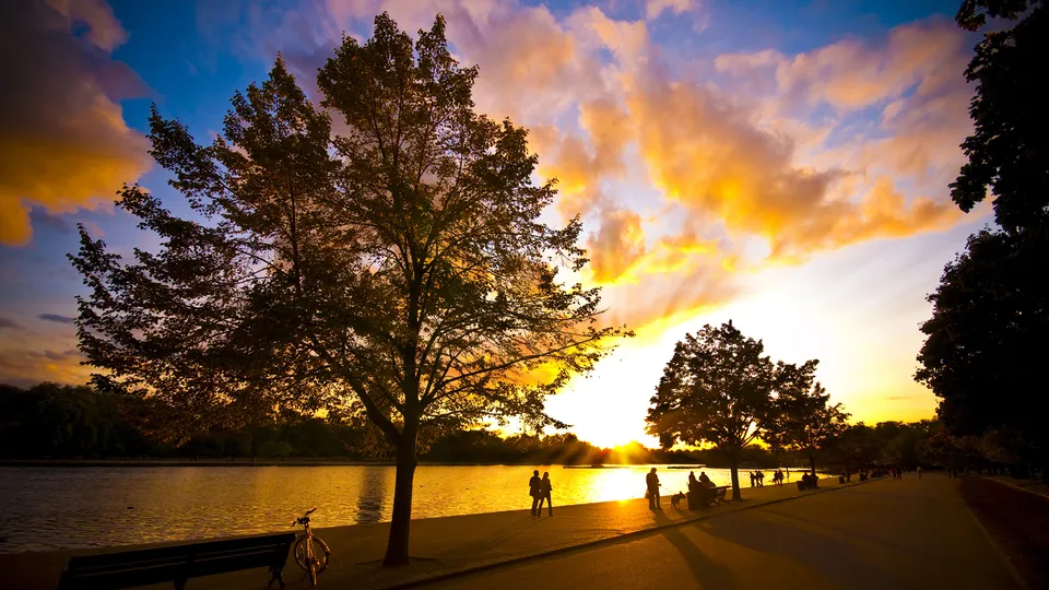 Silhouettes of trees and people against a vibrant sunset sky over a calm lake in a park.